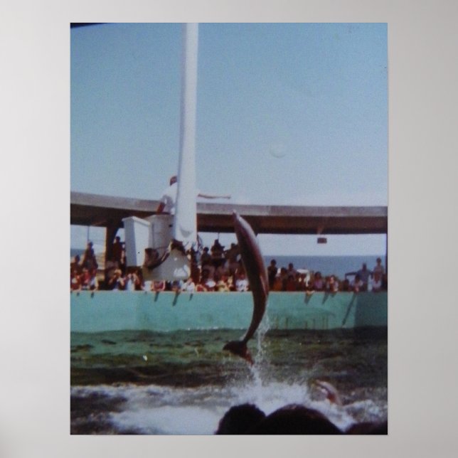 POSTER MARINELAND VINTAGE (Devant)
