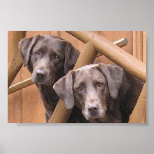 POSTER MARKS GALLERY (Devant)