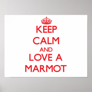 Poster Marmot