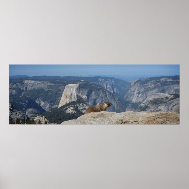 Poster Marmot Surplombant Demi-Dôme - Yosemite (Devant)