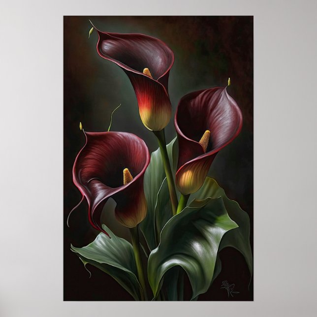 Poster Maroon Calla Lilies Lily Flower Art Imprimer Poste (Devant)