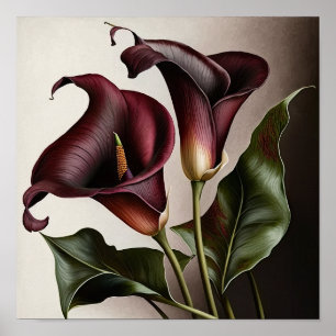 Poster Maroon Calla Lilies Lily Flower Art Imprimer Poste
