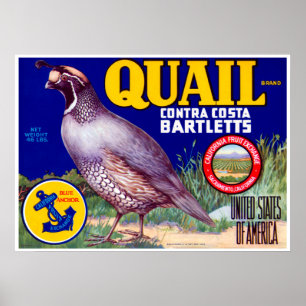 Poster Marque Quail Contra Costa Bartletts
