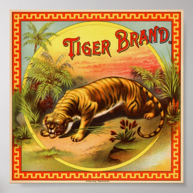 Poster Marque Tiger 1900 (Devant)