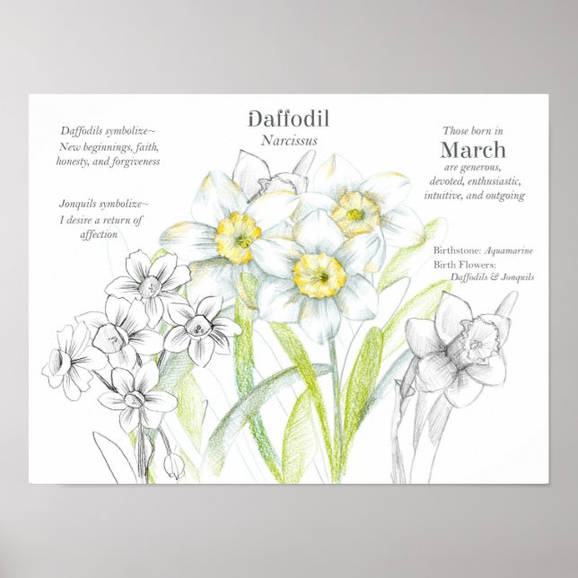 Poster Mars Anniversaire Daffodiques Mois de naissance Fl (Devant)