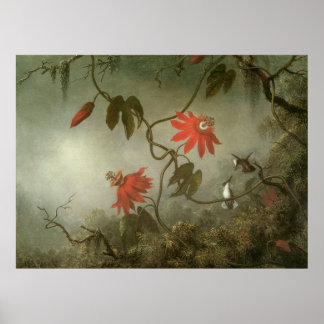 Poster Martin Johnson Heade Fleurs de passion