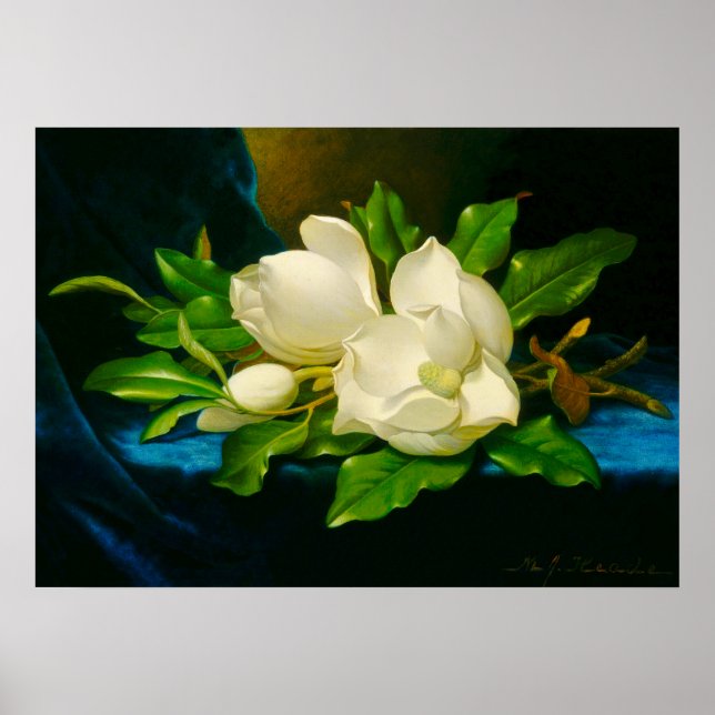 Poster Martin Johnson Heade - Magnolias sur Gold Velvet (Devant)