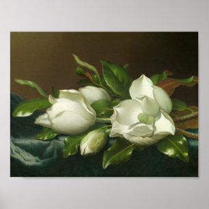 Poster Martin Johnson Heade - Magnolias sur le bleu clair