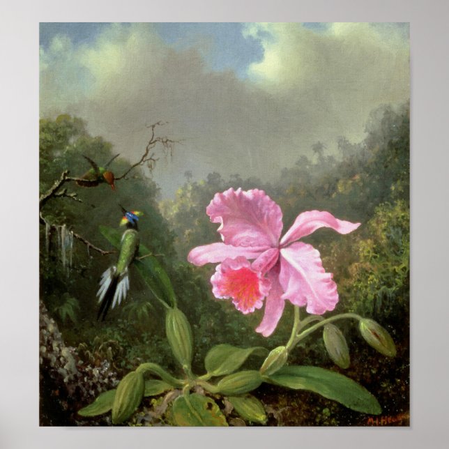 Poster Martin Johnson Heade Orchid Et Hummingbirds (Devant)