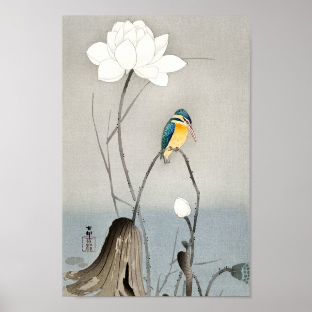 Poster Martin-pêcheur avec fleur de Lotus - Ohara Koson - (Devant)