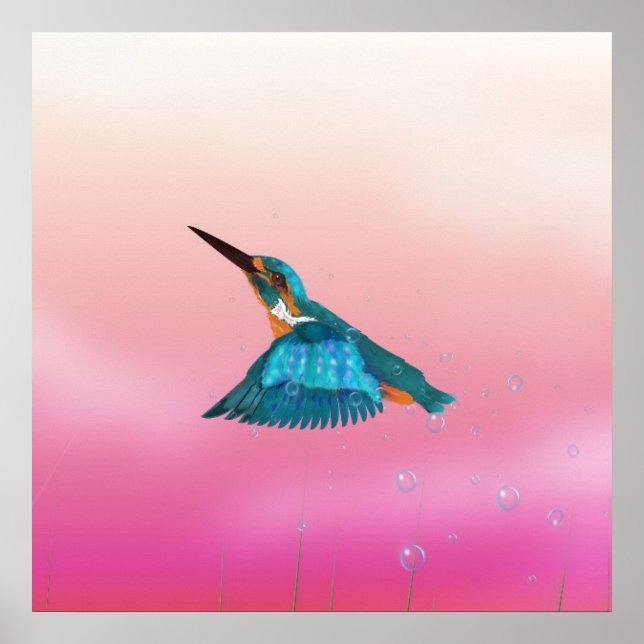 Poster martin-pêcheur oiseau (Devant)