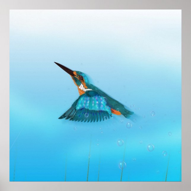 Poster martin-pêcheur oiseau (Devant)