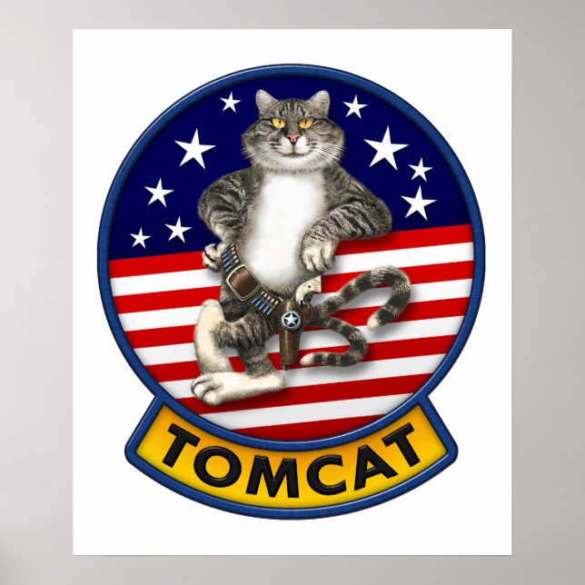 Poster Mascotte F-14 Tomcat (Devant)