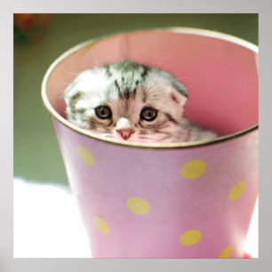 Poster Masque de chaton