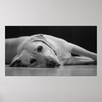 Poster Masquer le canevas 'ONE'