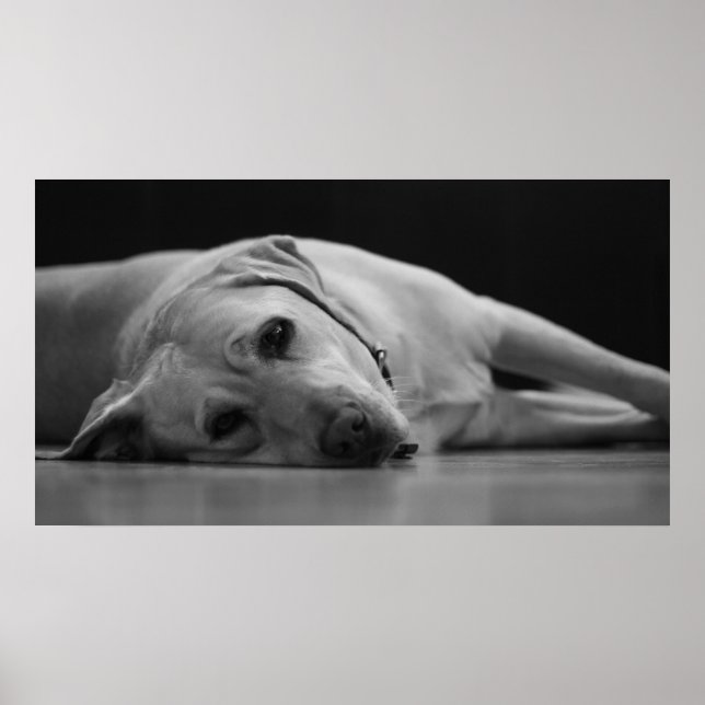 Poster Masquer le canevas 'ONE' (Devant)