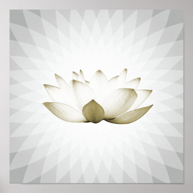 Poster Massage de Lotus blanc Thérapie Yoga Formation (Devant)