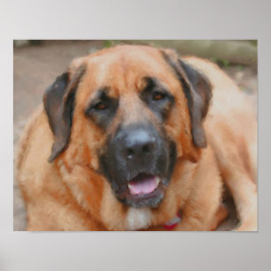 Poster Mastiff Dog Art peinture photo