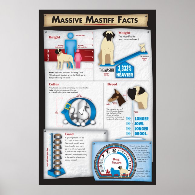 Poster Mastiff Facts (Devant)