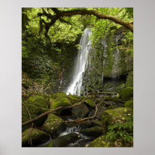 Poster Matai Falls, Catlins, South Otago