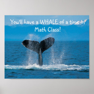Poster MathBaleine
