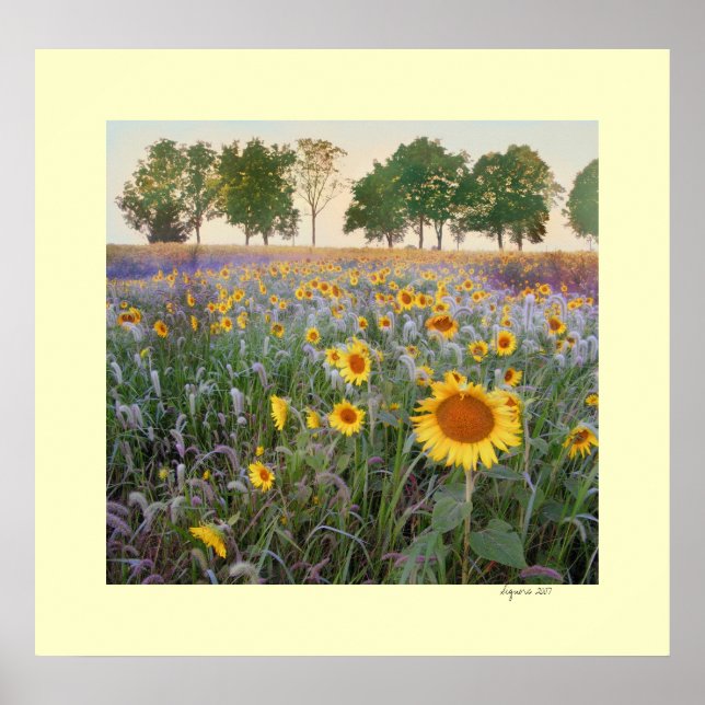 Poster Matin d'été (Devant)