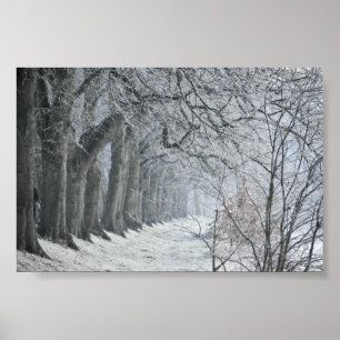 Poster Matin d'hiver