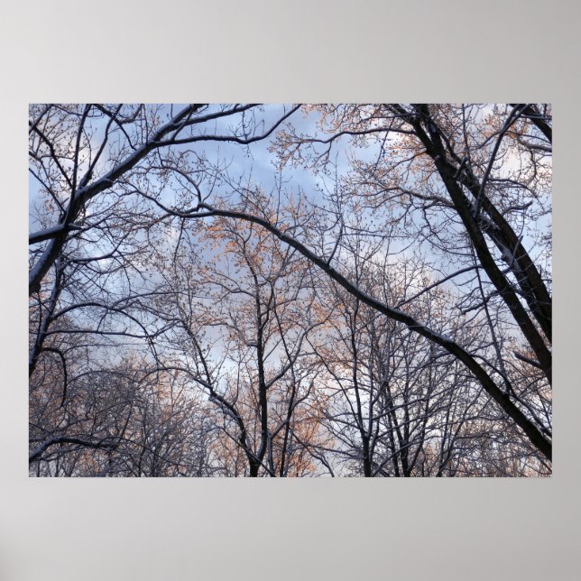 Poster Matin d'hiver II Paysage naturel (Devant)