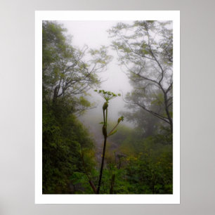 Poster Matin mystique sur le sentier des Appalaches