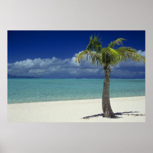 Poster Matira Beach on the island of Bora Bora, 2