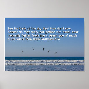 Poster Matthieu 6:26