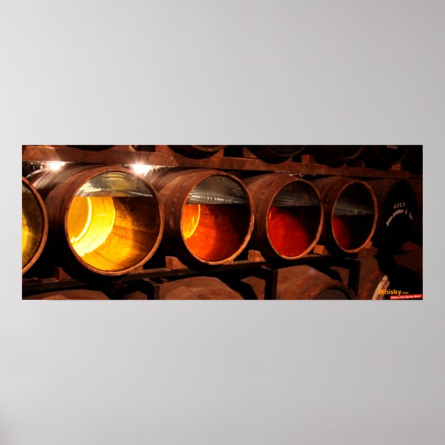 Poster Maturation (Devant)