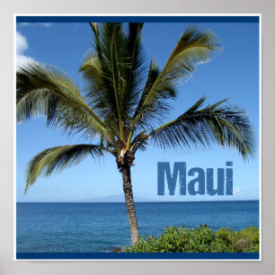 Poster Maui Hawaii