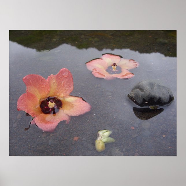 Poster Maui Zen (Devant)