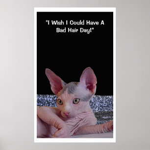 Poster "Mauvais jour de cheveux "