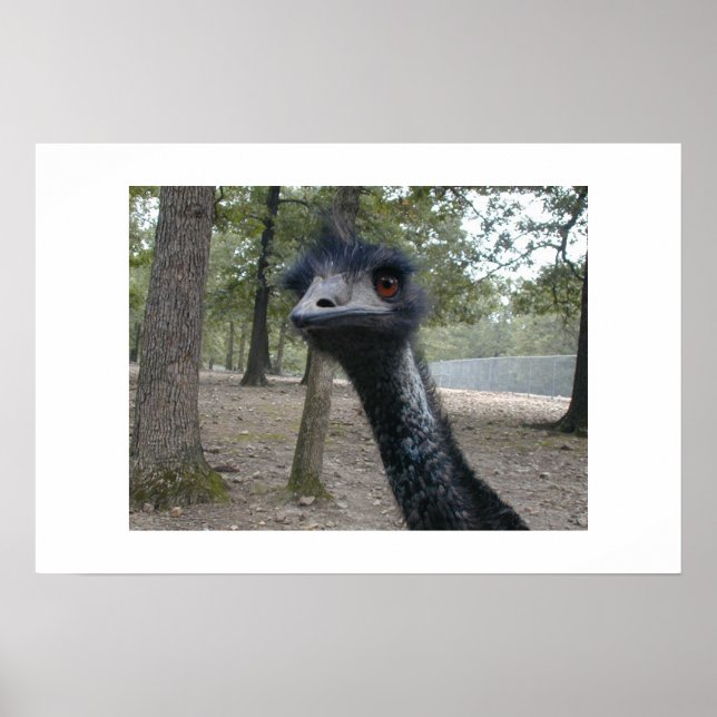 Poster Mauvaise journée des cheveux (Devant)