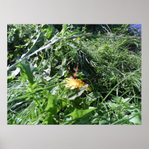 Poster Mauvaises herbes de jardin obstruant la copie