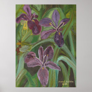 Poster Mauve LA Iris