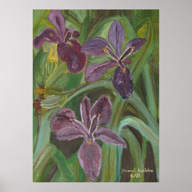 Poster Mauve LA Iris (Devant)