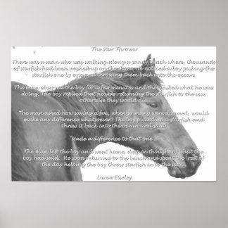 Poster Maxx Starfish