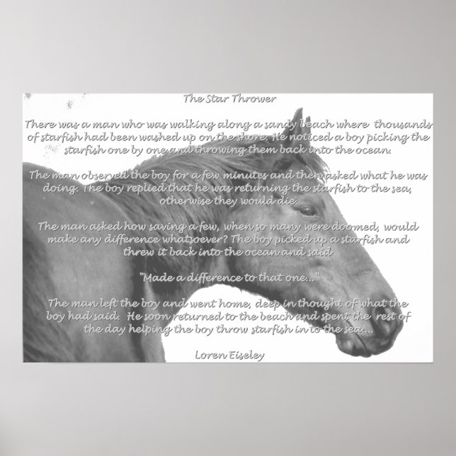 Poster Maxx Starfish (Devant)