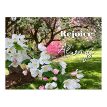 May Flowers Rejoice Always