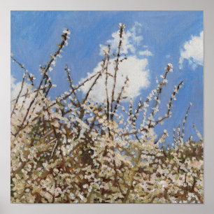 Poster Mayflower 2012