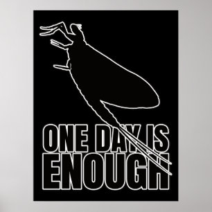 Poster Mayflower Un jour de mouches - Geek d'Entomologie