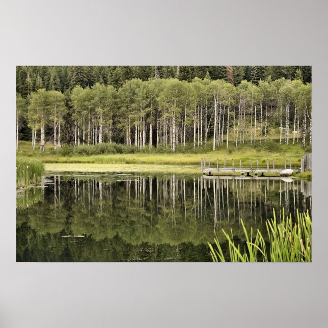Poster McCall Pond (Devant)