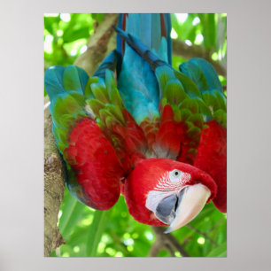 Poster Me regardez-vous?