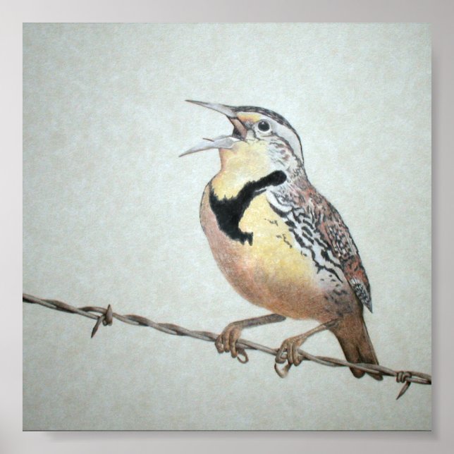 Poster Meadowlark (Devant)
