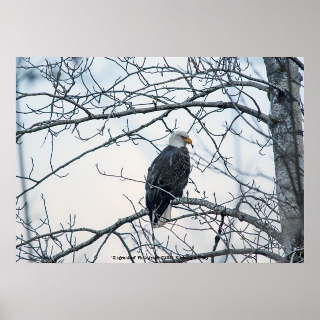 Poster mécontent (Devant)