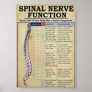 Poster médical vintage illustré