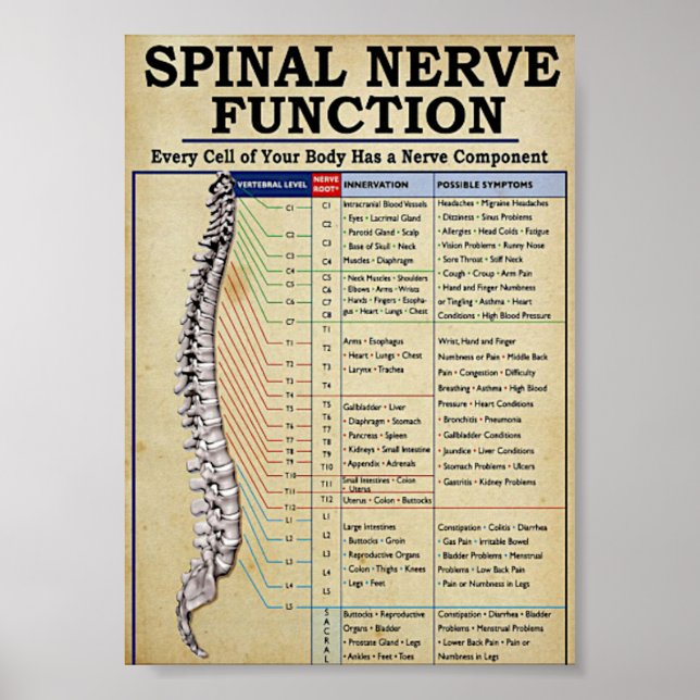 Poster médical vintage illustré (Devant)